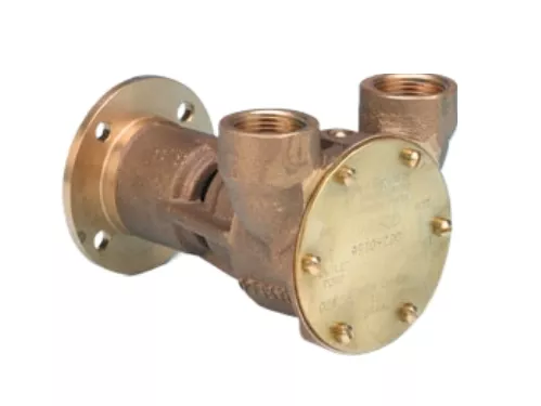 Jabsco Flanşlı Pompa - Maxımum 100 Hp